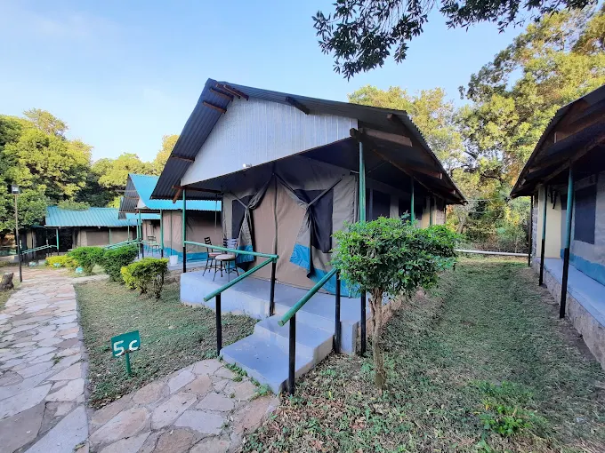 Miti Mingi Eco Camp Budget ,Tented camp